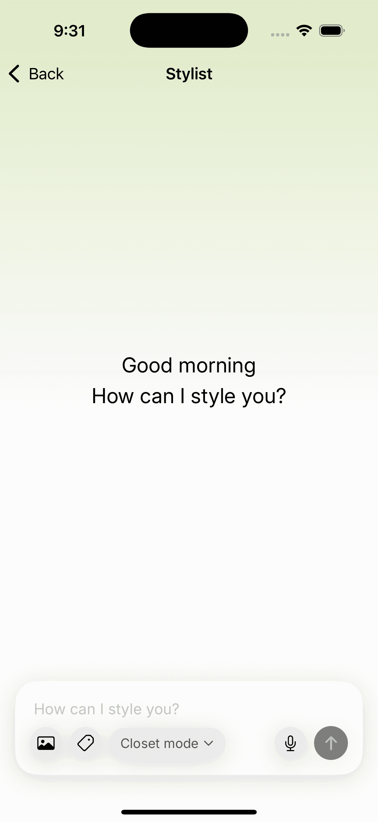 Lapel stylist screen greeting the user: Good morning, how can I style you?